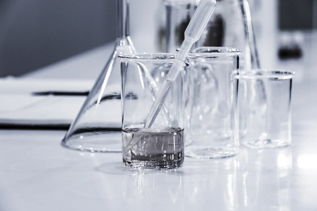 Unveiling the New Frontiers in Anti-Aging Research